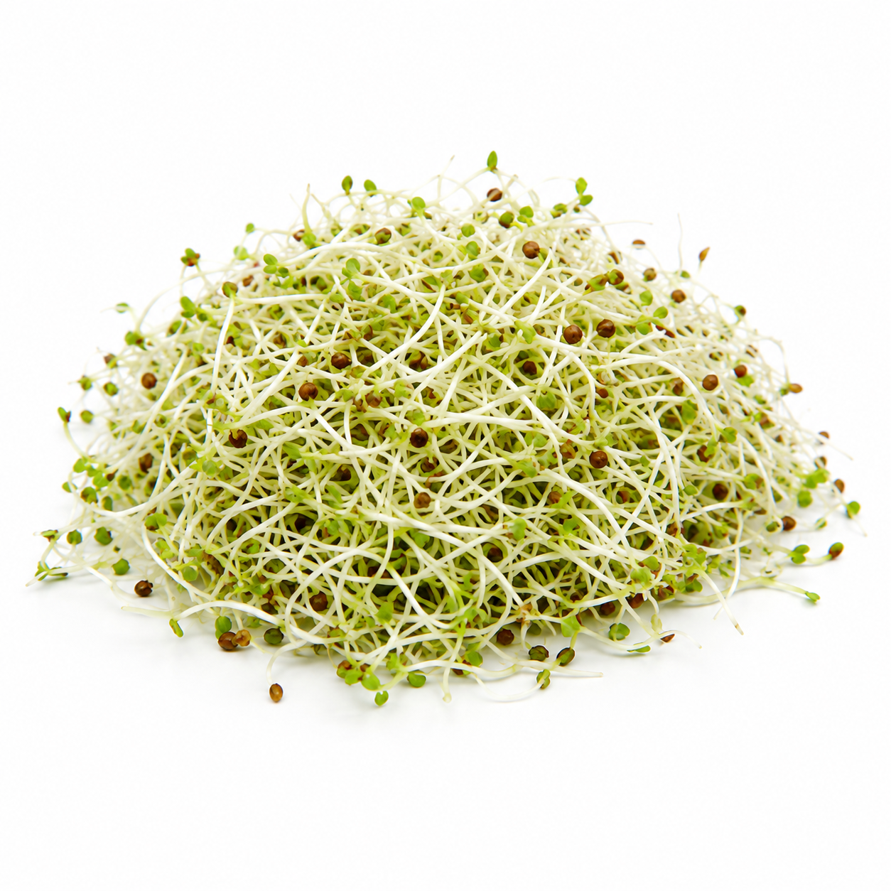 Alfalfa (lucerne)