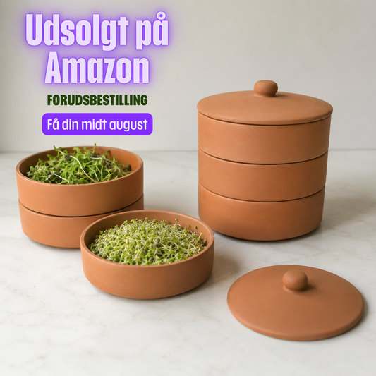 Terracotta spireskål